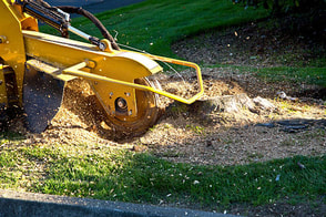 stump removal in a compound 