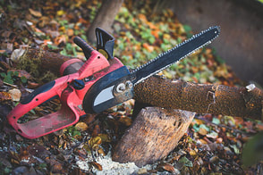 branch cutting with a power saw